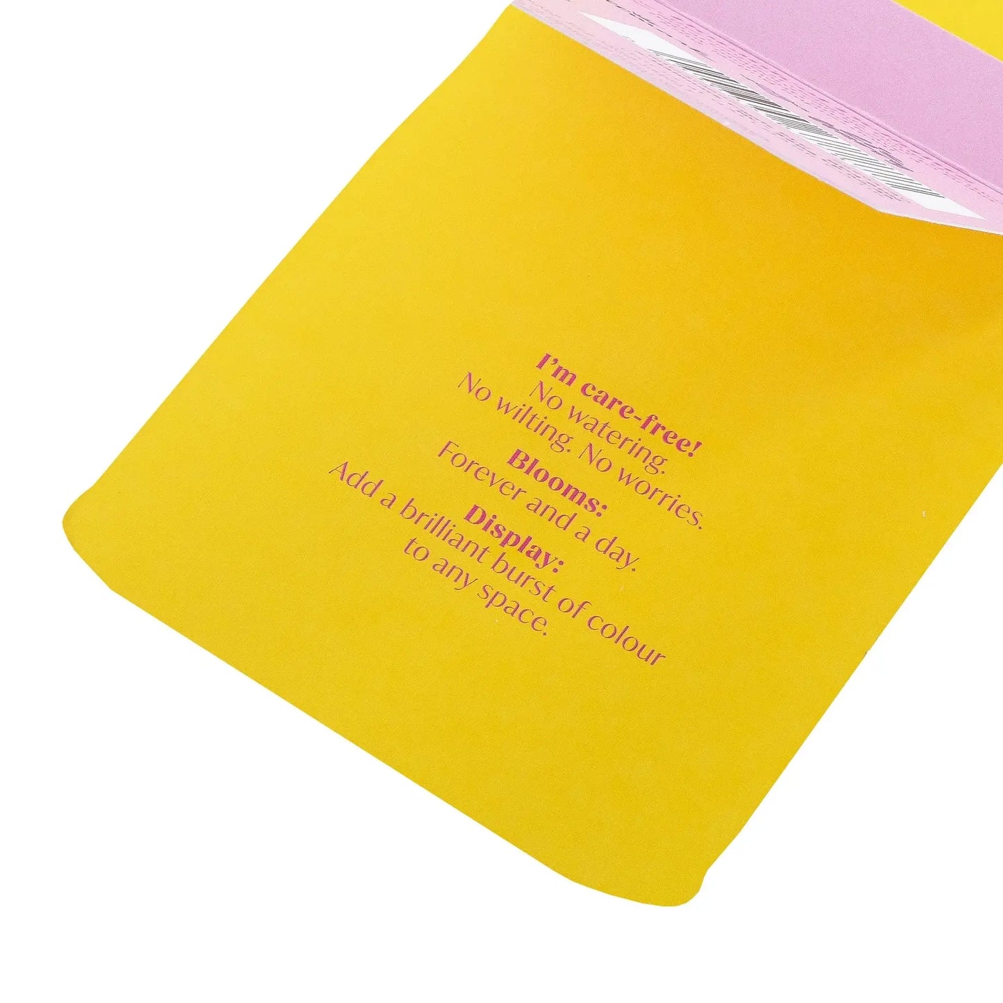Botanical Delights Card- Magical Botanicals X Liz Harry