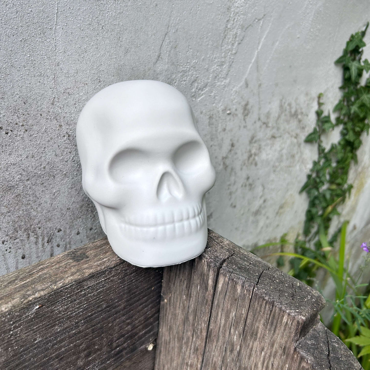 Alas Poor Yorick Skull Squishy Toy