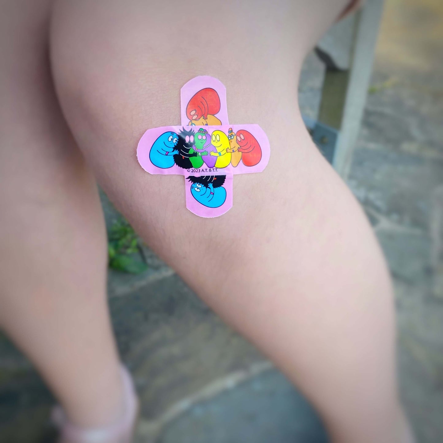 Barbapapa 24 Plasters in Tin