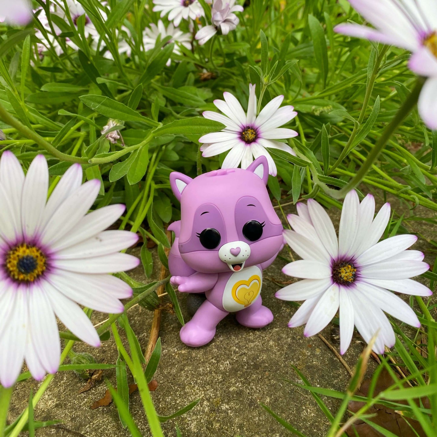 Care Bears Cousins Funko Pop! - Bright Heart Raccoon