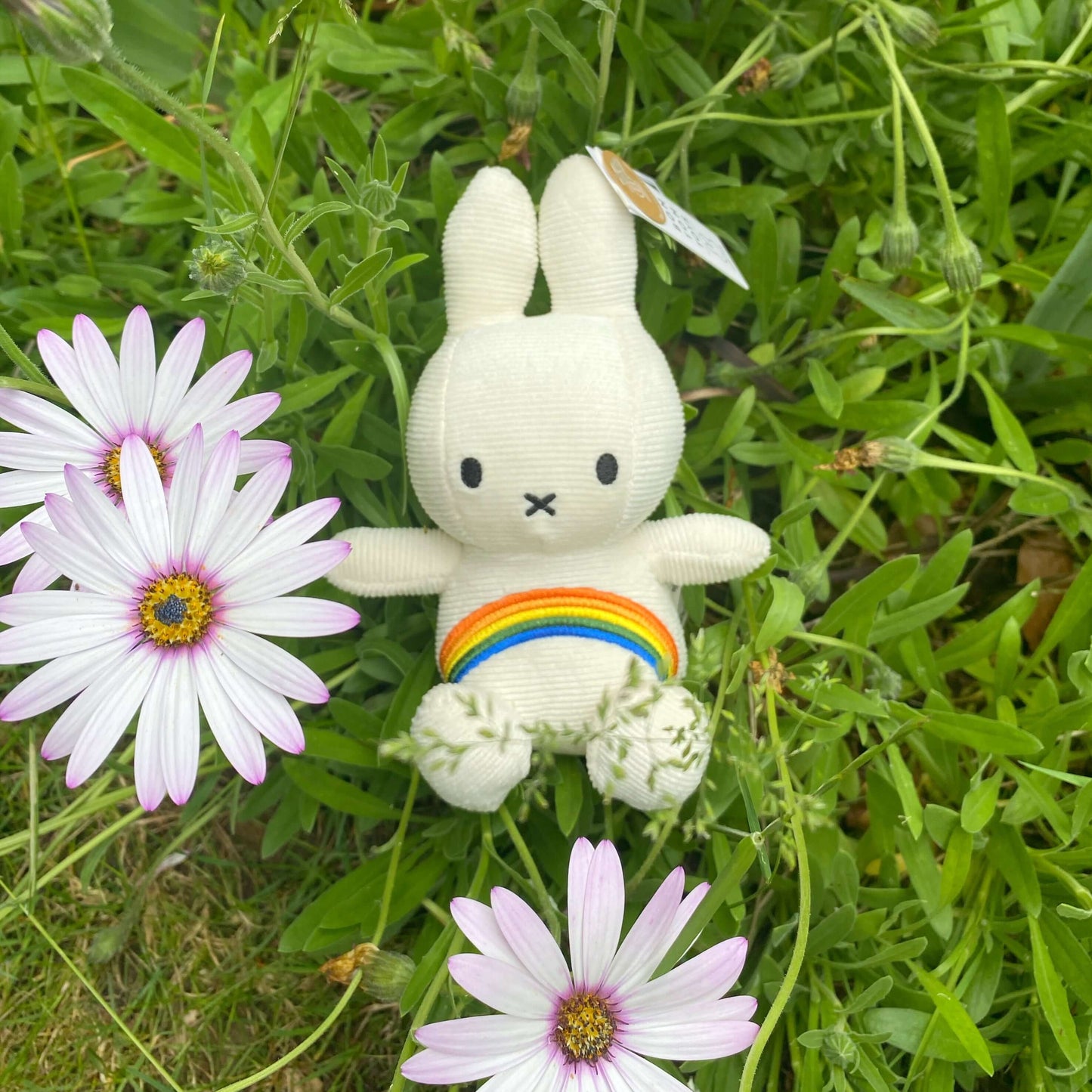 18cm Corduroy Miffy Plush- Rainbow