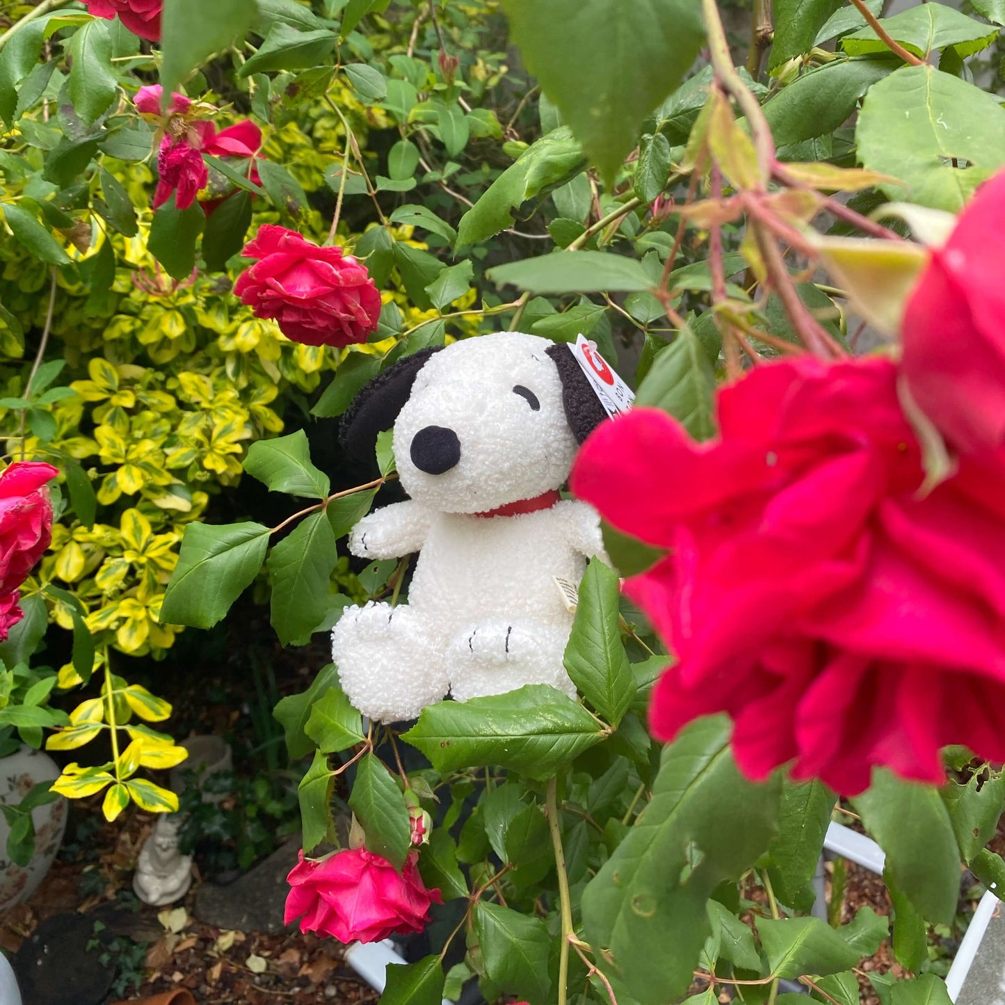 Peanuts Snoopy ECO Tiny Teddy Soft Toy