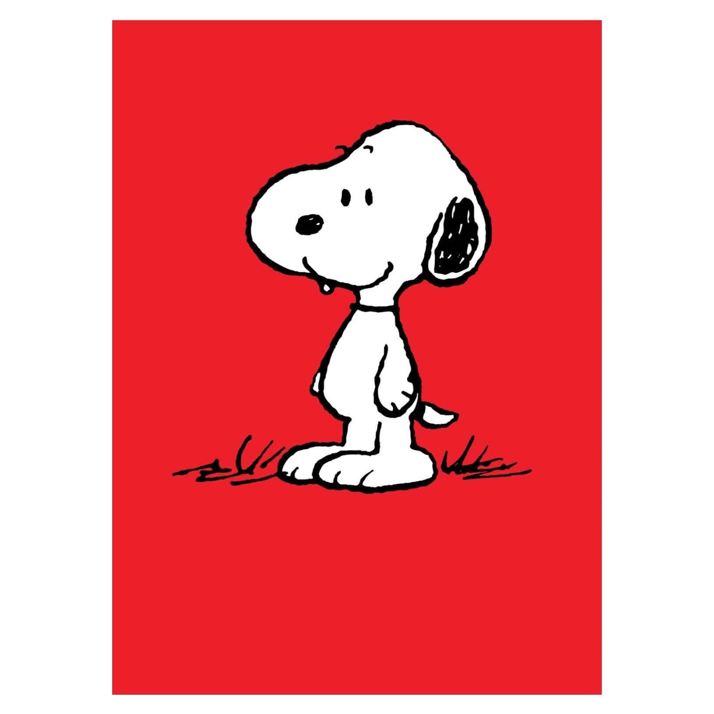 Peanuts Snoopy Card